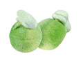Jelly Filled Apple Marshmallows (GF) (DF)