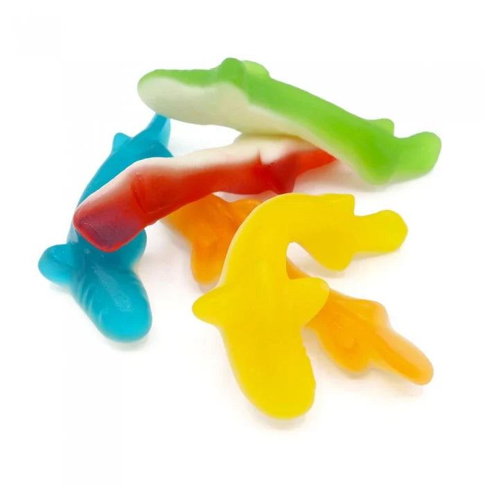 Coloured Sharks (GF) (DF) (H)