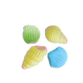Sea Shells (GF)